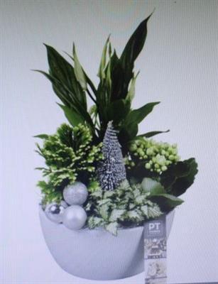 <h4>4305 KER WIT SPATH</h4>