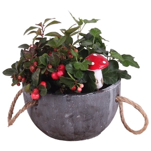 Autumn Arr. Outdoor Concrete Bowl Ø16cm 2PP