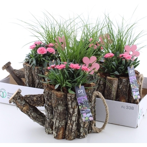 ARR TUINPLANTEN