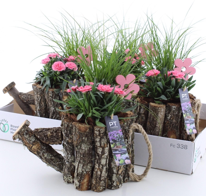 <h4>ARR TUINPLANTEN</h4>