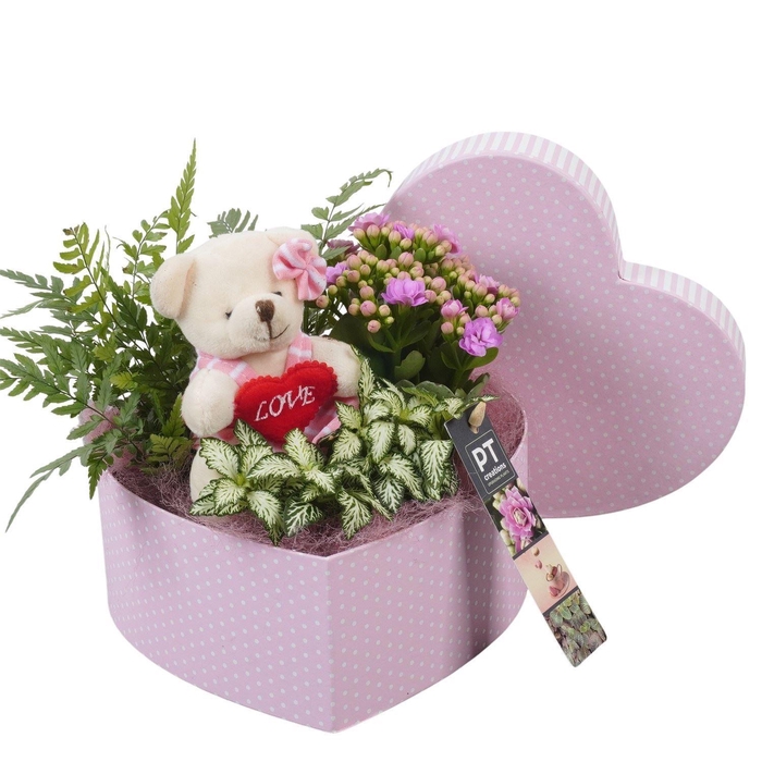 <h4>2368 Roze Giftbox</h4>