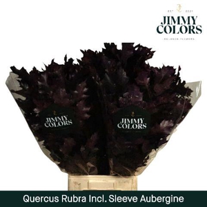 Quercus Rubra sleeve L80 Aubergine