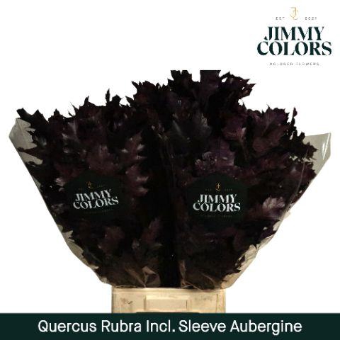 <h4>Quercus Rubra sleeve L80 Aubergine</h4>