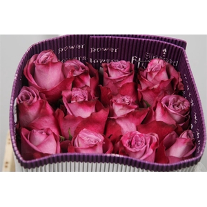 R Gr Moody Blues! Ec