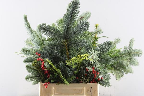 <h4>Deco Gr Kerstgroen Mix Bos</h4>