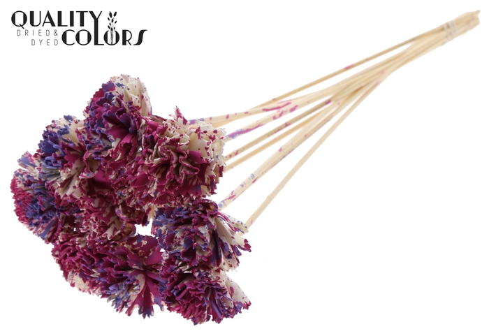 Shola Karnish Flower 6cm on stem Multicolour Cerise/Milka