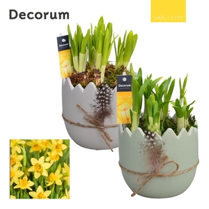 Narcis Feathered Egg HL14275 [YELLOW]