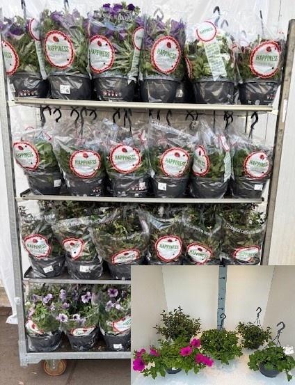 <h4>PERKPL MIXK</h4>