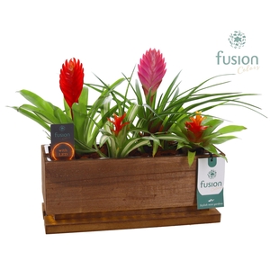 The Green Lighting Garden LED Medium lang met Bromelia