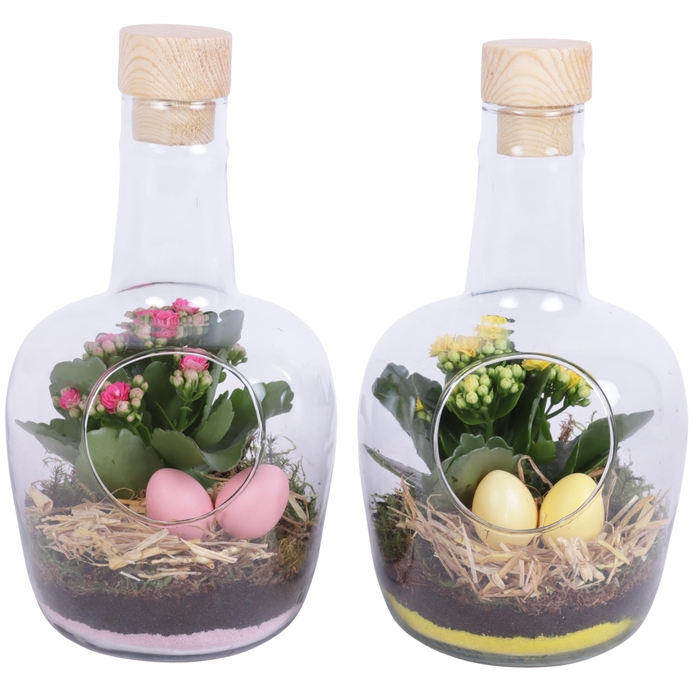 <h4>Easter Arr. Indoor Glass Vase with Hole Ø15cm 1PP</h4>