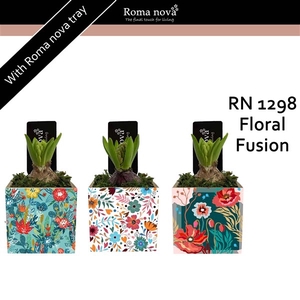 1298 - Floral Fusion (Hyacint)