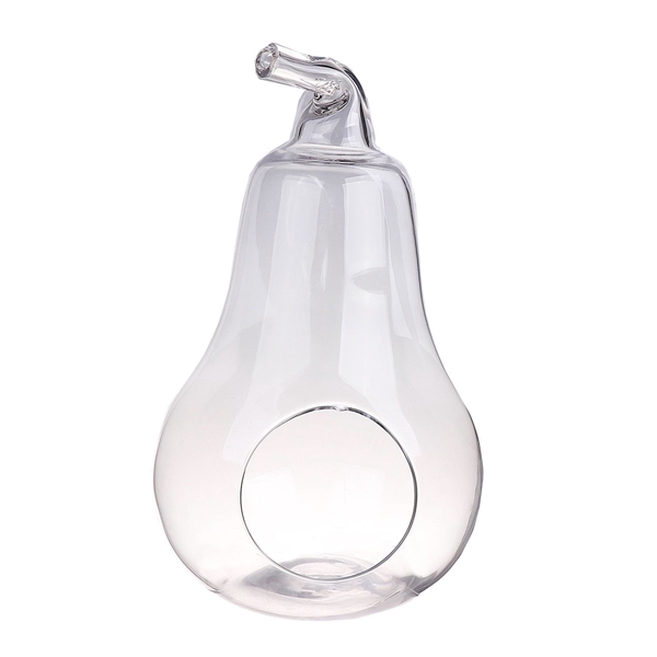 <h4>Terrarium Pear Farrin d21xh36.5 clear</h4>