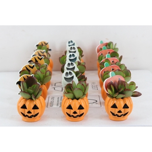 arr3 AD - Helloween x15