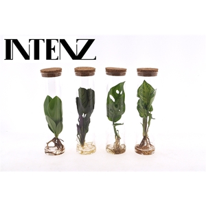 Mix in tube glas