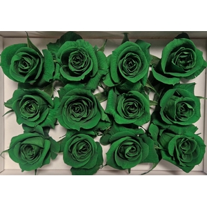 Ro Pres Mini Green Dark