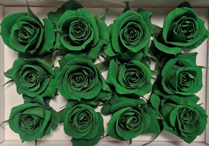 Ro Pres Mini Green Dark