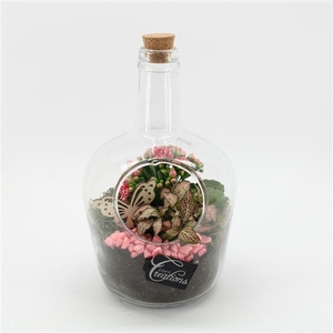 ESCR-2504RZ Essentials terrarium