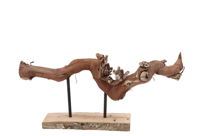 <h4>Nature Grape Wood Frame Big</h4>