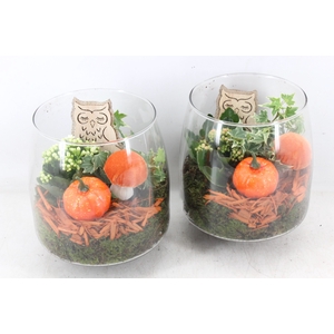 arr2 PL - Glas vaas Mark - oranje/wit