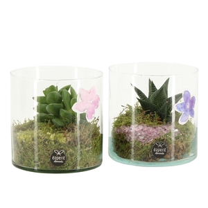 11690: Consideration arrangement