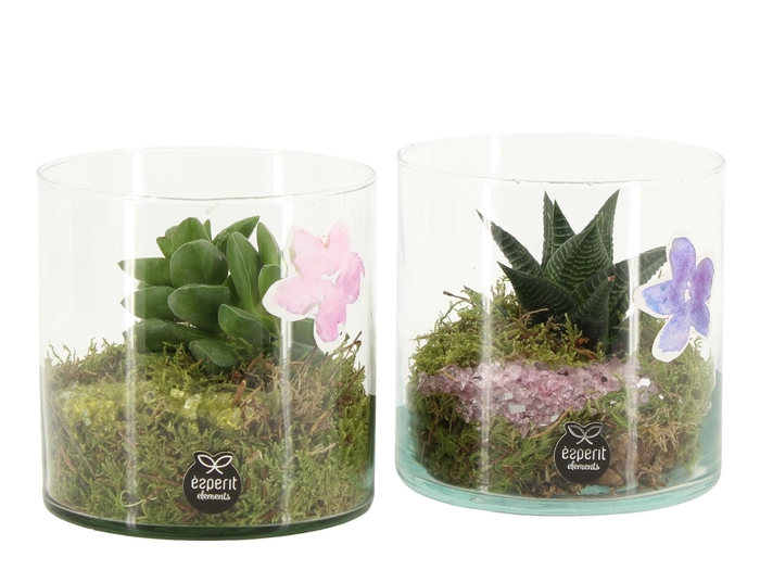 <h4>11690: Consideration arrangement</h4>