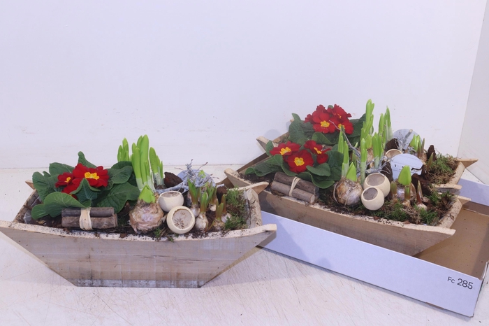 <h4>ARR TUINPLANTEN</h4>