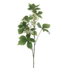 Wild weigelia spray green 86cm