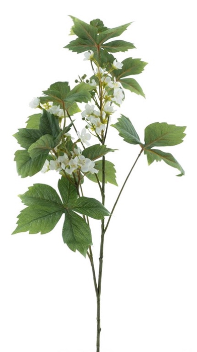 <h4>Wild weigelia spray green 86cm</h4>