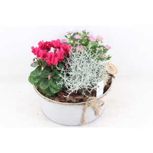 arr4 Outdoor PL - Zink rond met strik