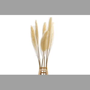 Deco Luffa Gigante 3pc/bag Bleached Pst
