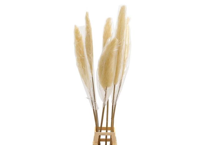 <h4>Deco Luffa Gigante 3pc/bag Bleached Pst</h4>