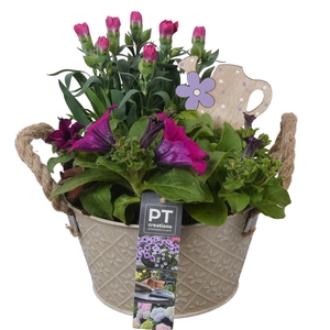 PTPP6895 Arrangement Patio in metalen schaal