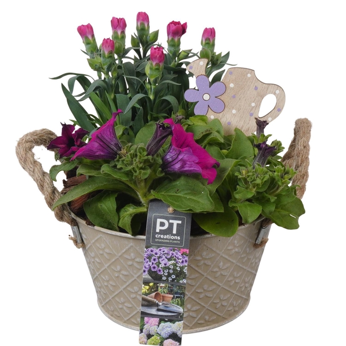 <h4>PTPP6895 Arrangement Patio in metalen schaal</h4>