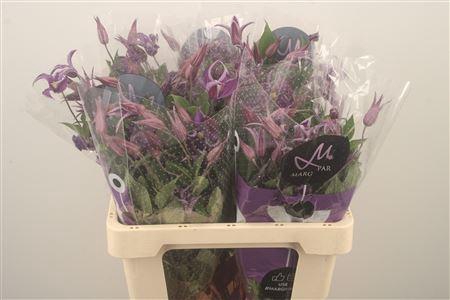 <h4>Clematis Blue Pirouette X60</h4>