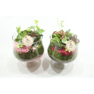 4752 GLAS OP VOET CERISE/ROZE