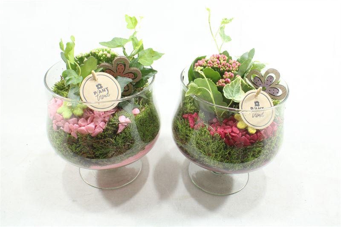 <h4>4752 GLAS OP VOET CERISE/ROZE</h4>