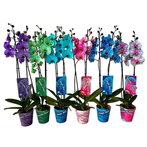 2 tak mix ton sur ton potcover en etiket