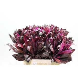 DECOGROEN OV