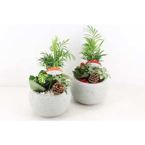 arr2 PL - Ker. bolpot ribbel grijs - rood/wit