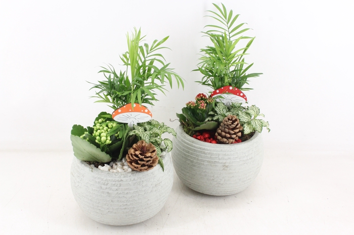 <h4>arr2 PL - Ker. bolpot ribbel grijs - rood/wit</h4>