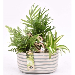 Keramiek ovaal golf 18x10.5cm