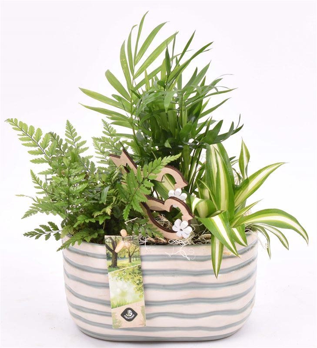 <h4>Keramiek ovaal golf 18x10.5cm</h4>