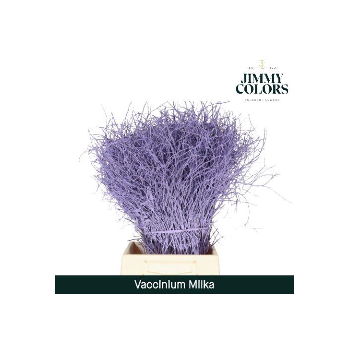 <h4>Vaccinium L50 Klbh. Milka</h4>
