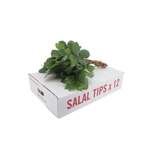 Salal Tip X12