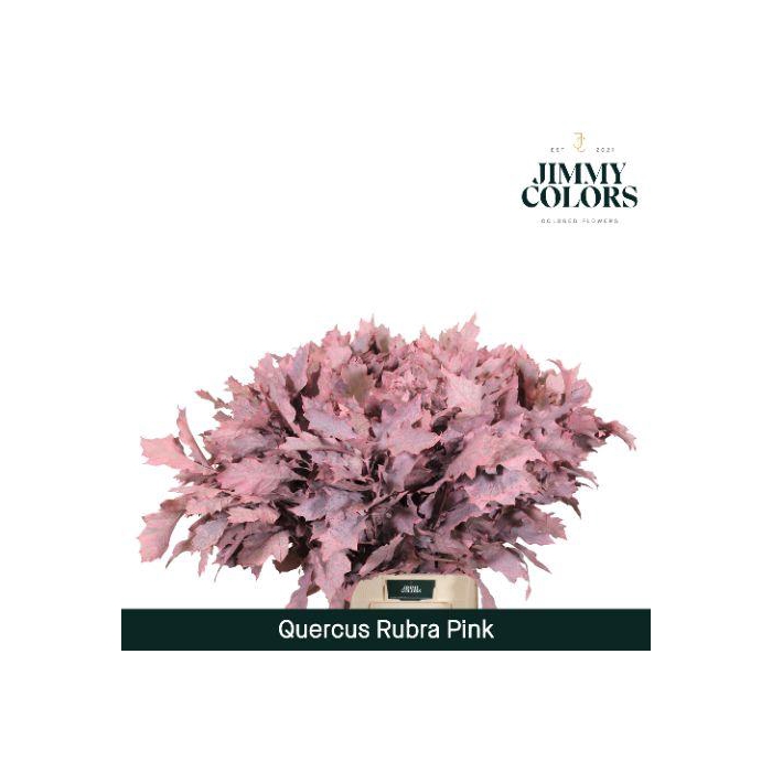 <h4>Quercus Rubra L80 Pink</h4>