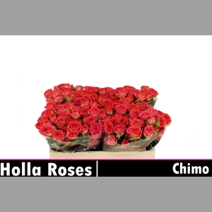 R TR CHIMO