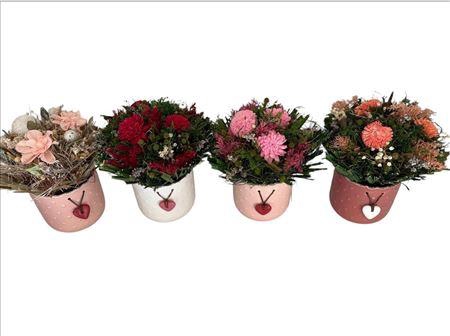 <h4>Droogbloemen bewerkt H%</h4>