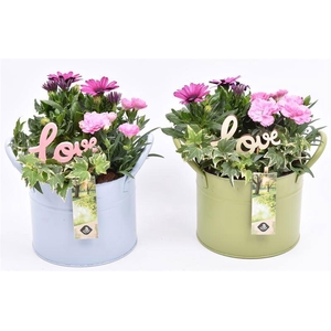 Zink ton kl.mix 15cm