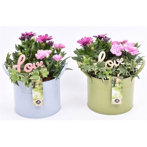 Zink ton kl.mix 15cm