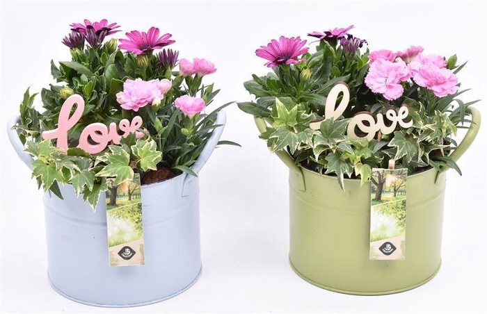 <h4>Zink ton kl.mix 15cm</h4>